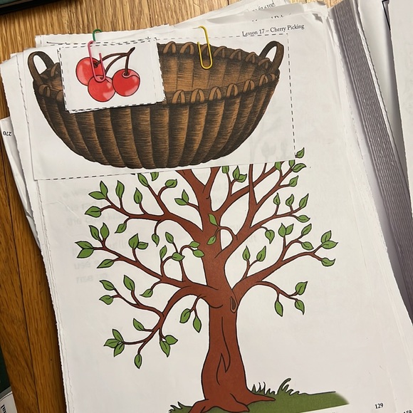 Leap into Reading Color Edition Level 2 Set - Picture 11 of 15